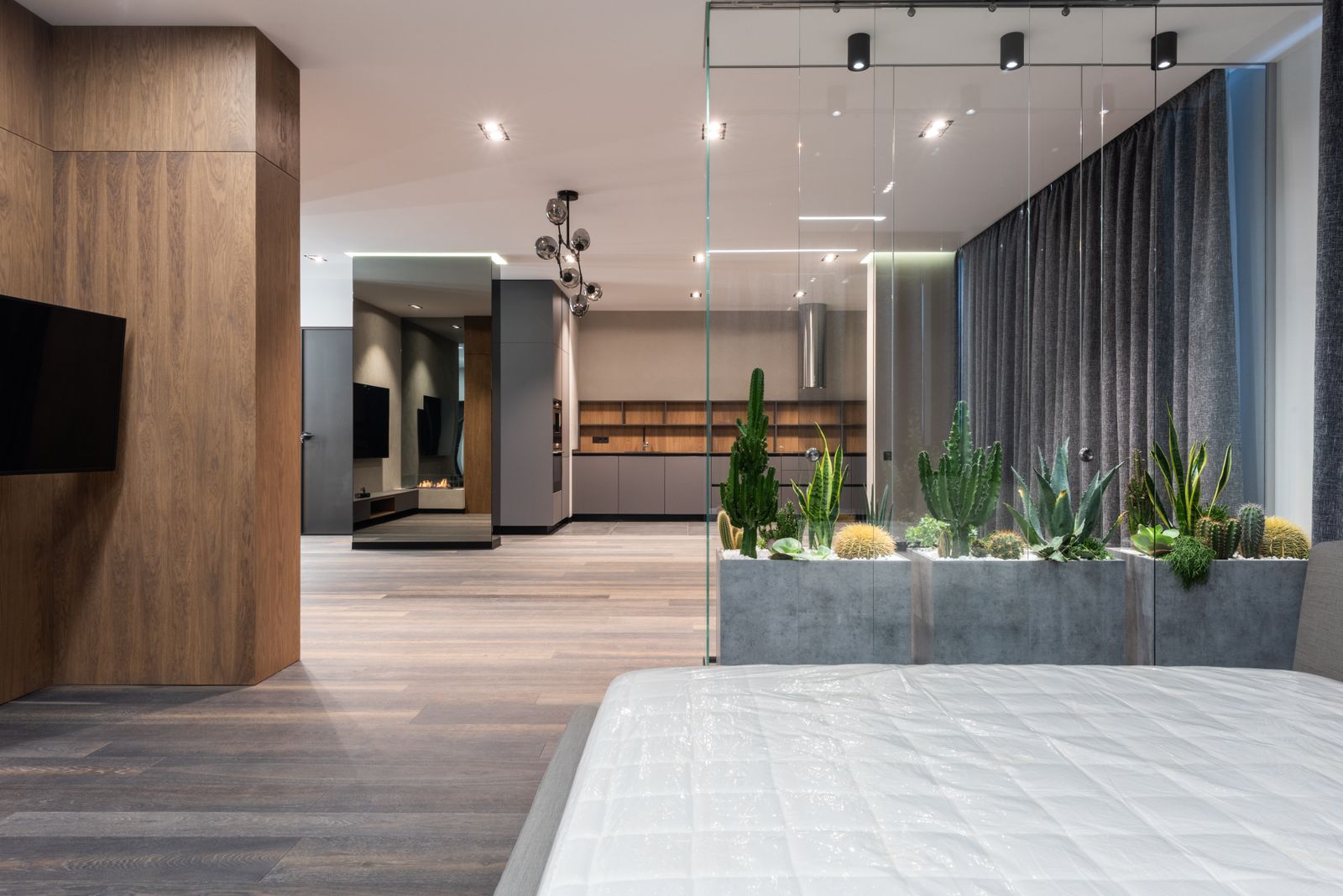 Minimal interior with glass and cacti