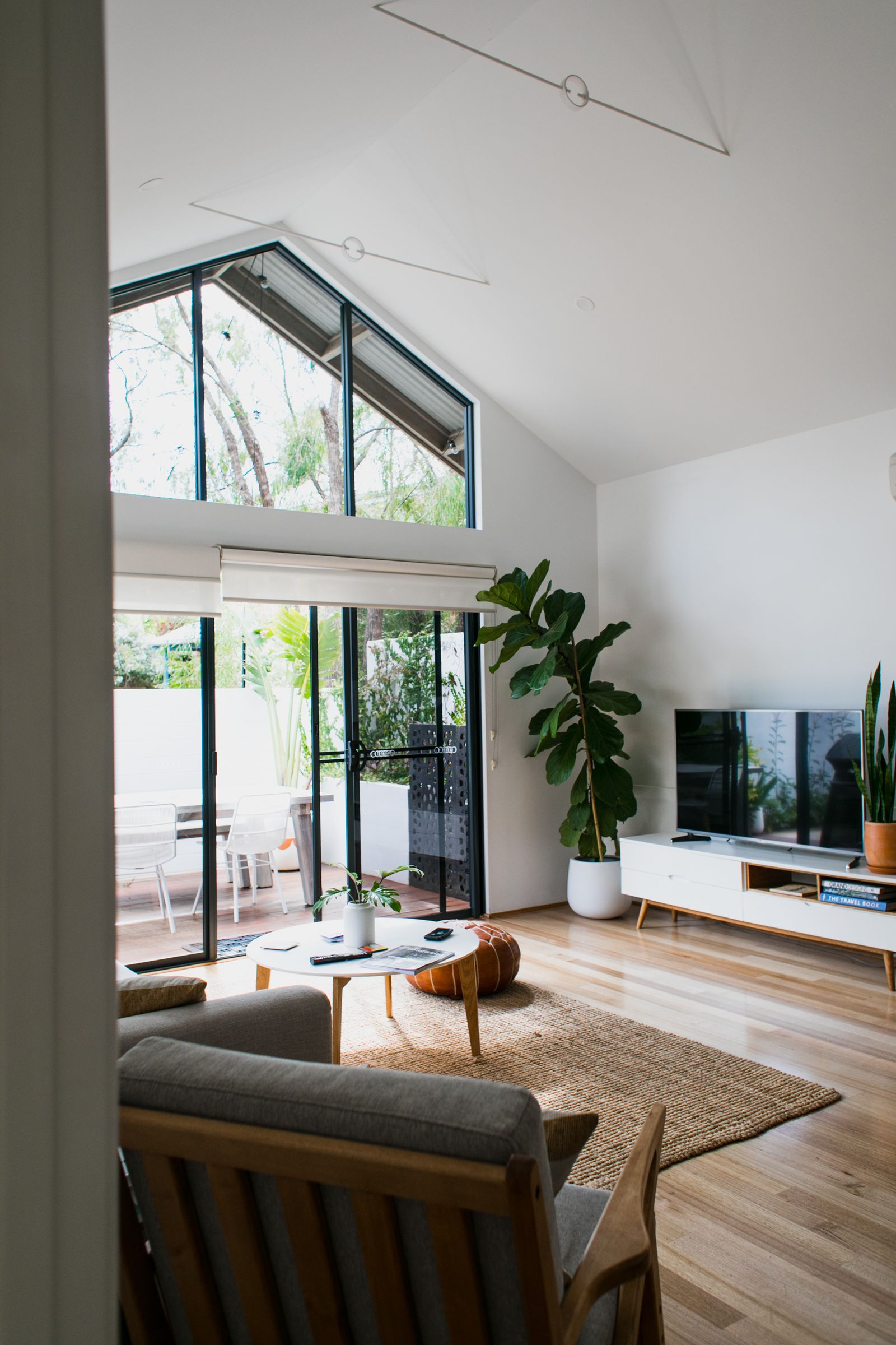 Bright living room with a large houseplant
